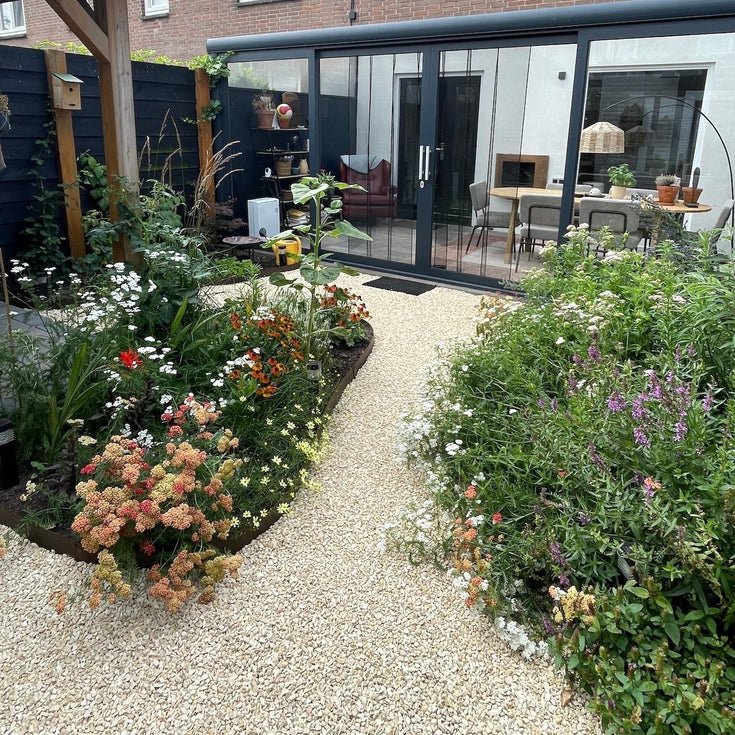 Tuintransformatie: van tegels naar bijenparadijs