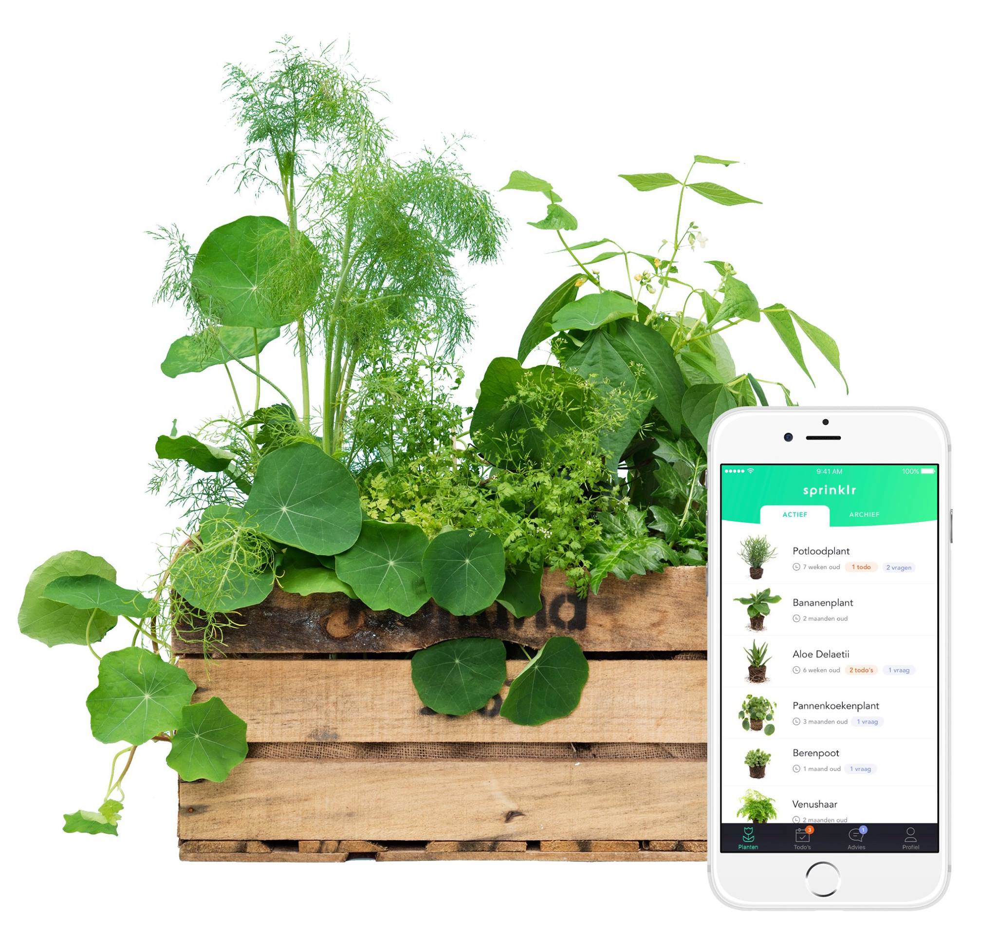 De app verdwijnt, onze hulp niet Sprinklr
