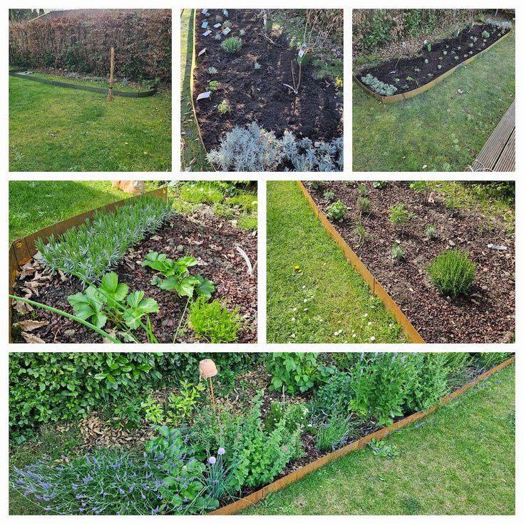 Zo groeien de Voedselbosjes, smul mee!