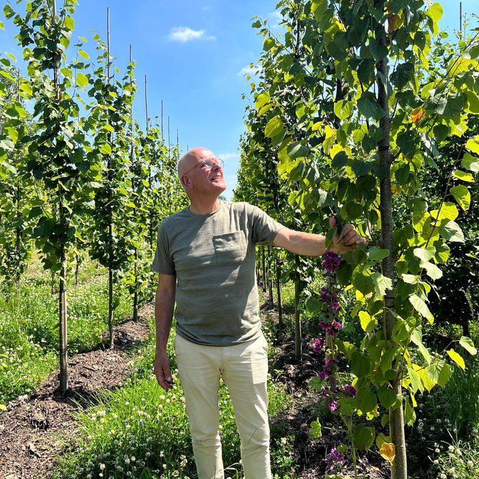 Grootschalig biologisch bomen kweken? Kan dat?