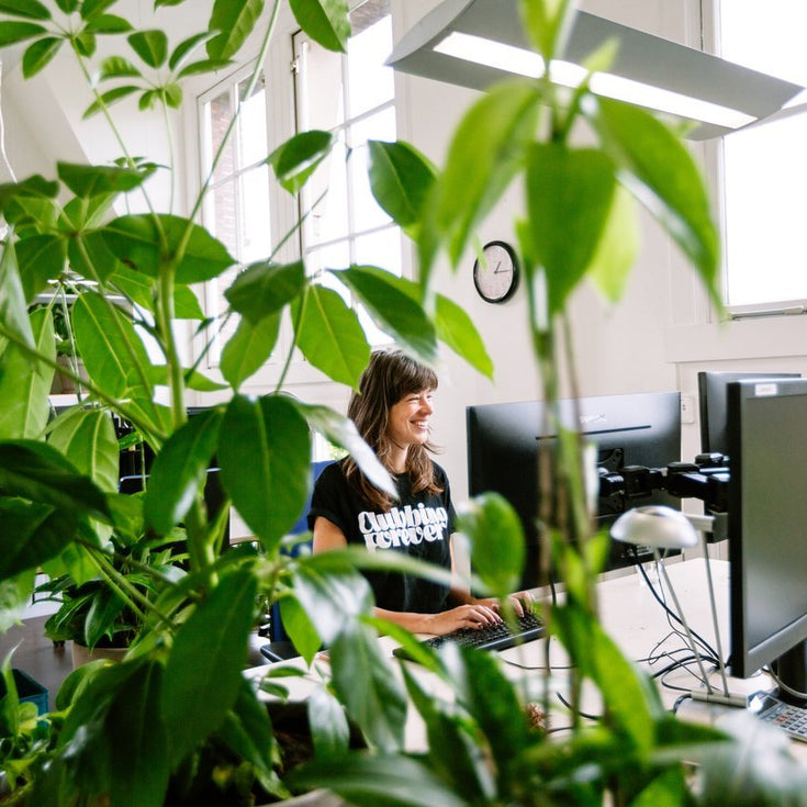 Maak je kantoor corona-proof met planten