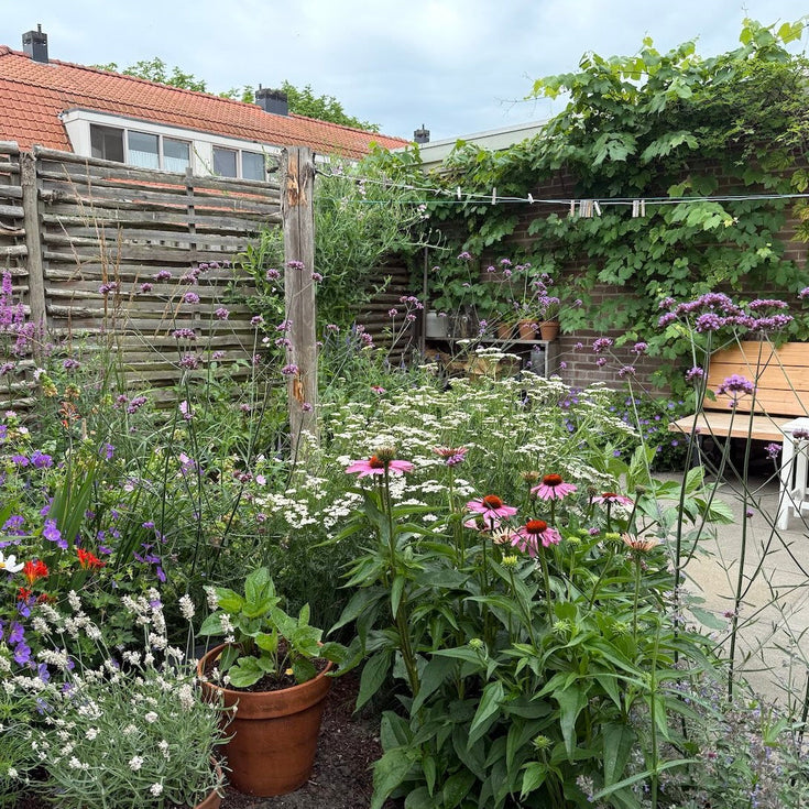 Tuintransformatie: van tegelvlakte naar gezoem op hoogte