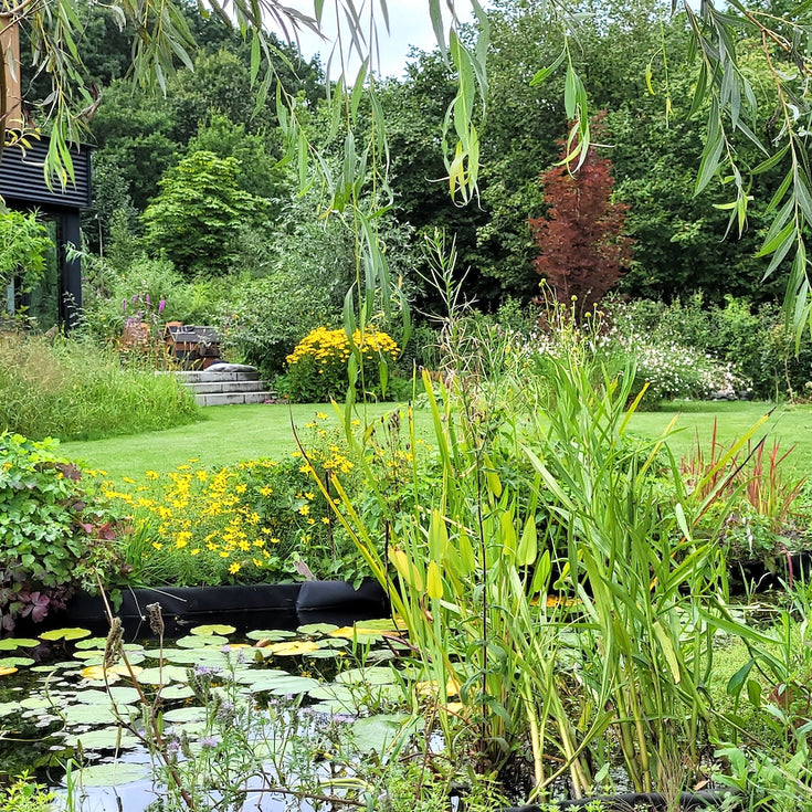 Het tuinverhaal van Maz: van beginner tot alles in balans