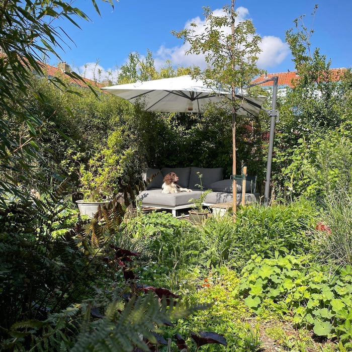 Drie jaar na een tuintransformatie, kijk mee!