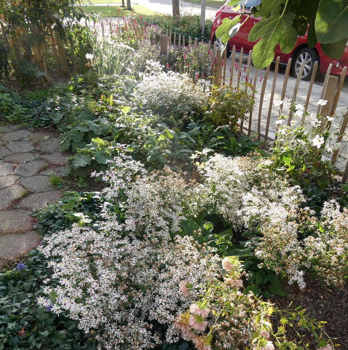Een nieuwe voortuin met Border op Maat, kijk mee!