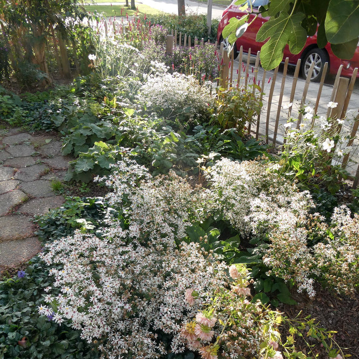 Een nieuwe voortuin met Border op Maat, kijk mee!