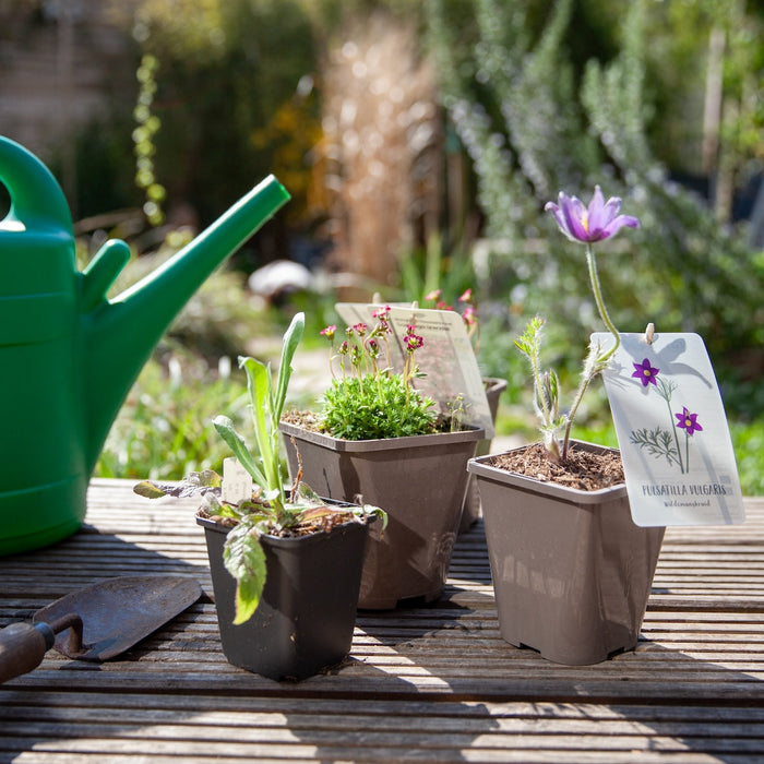 Tuintips voor april
