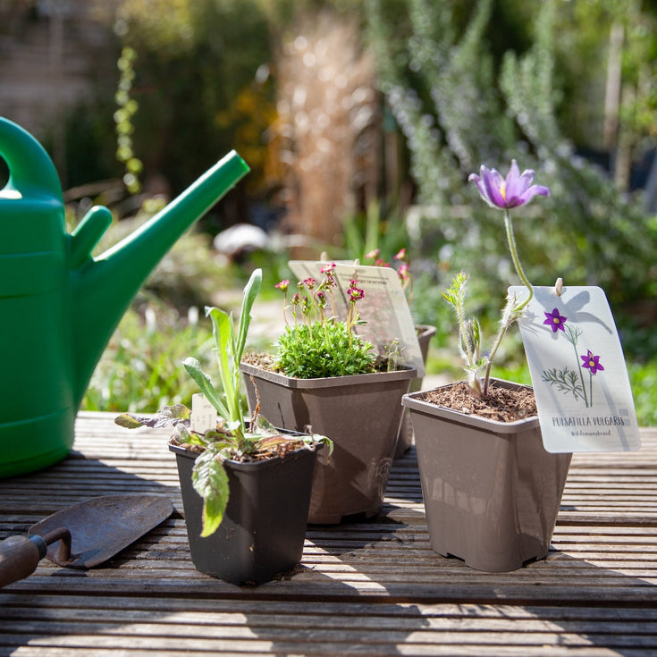 Tuintips voor april