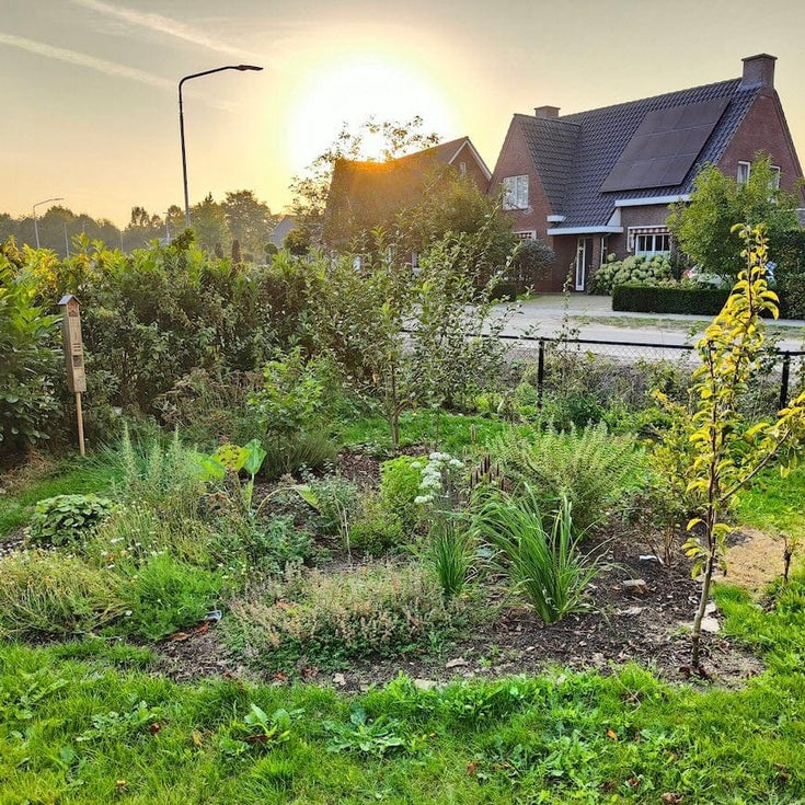 Een Voedselbosje in alle seizoenen, kijk mee!