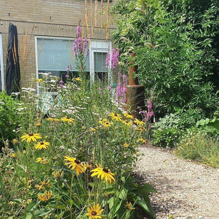 Dit zijn de mooiste tuintransformaties van 2025!