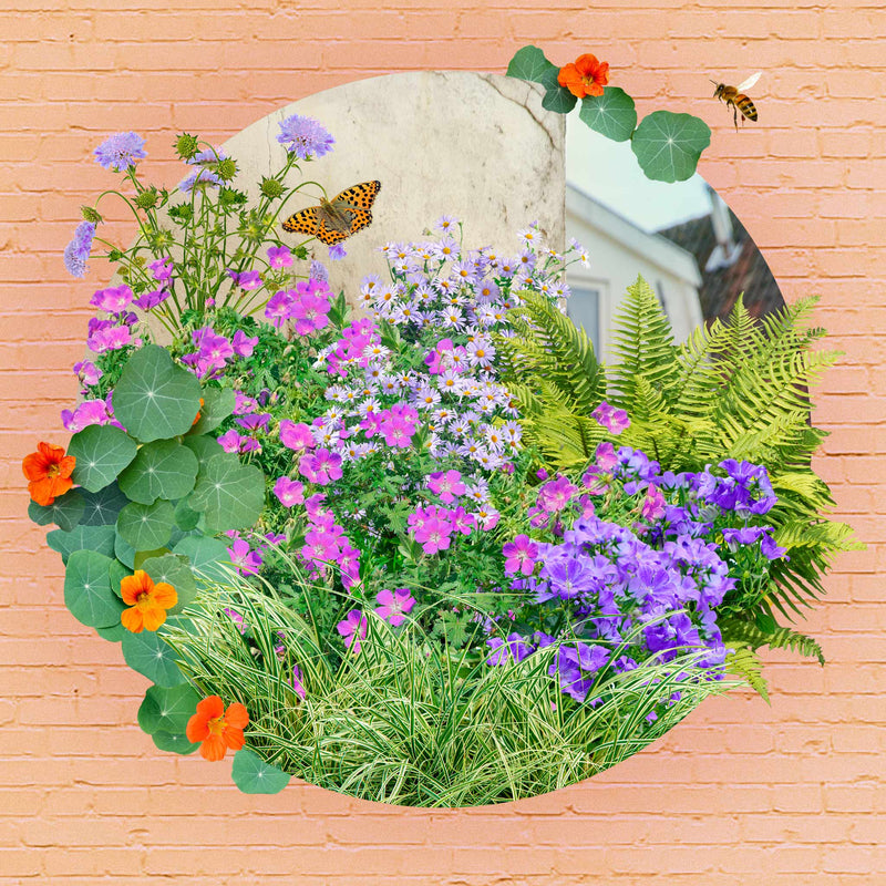 Collage van balkontuintje halfzon