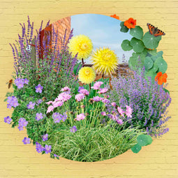 Balkontuintje Zon Balkontuintje Zon