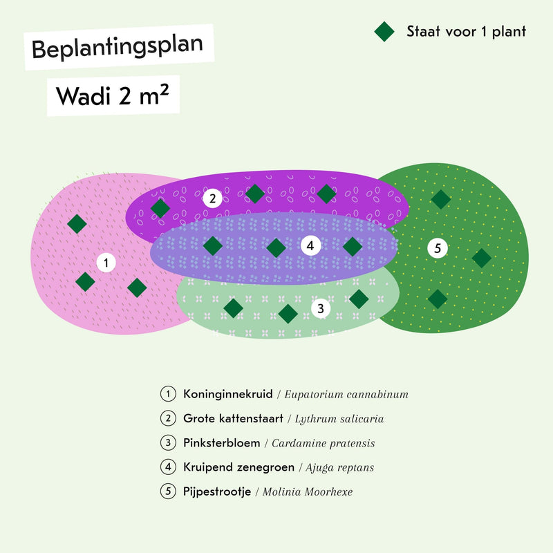Beplantingsplan voor Wadipakket van 2 vierkante meter