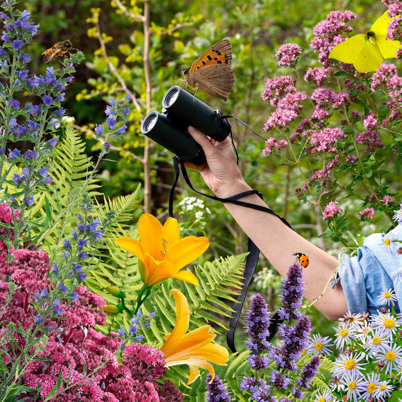 Collage van hand met verrekijker en planten uit het Avonturentuintje voor kinderen
