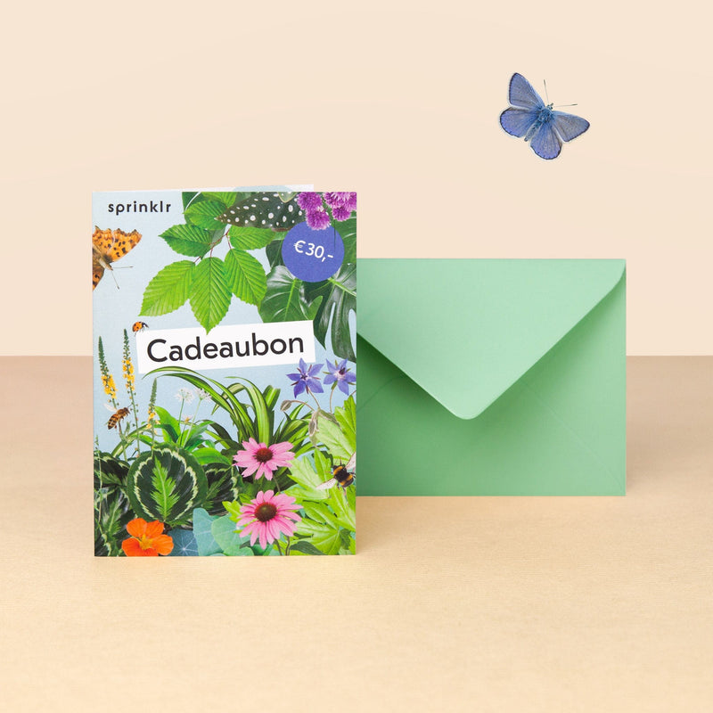 cadeaubon, kaart met collage van bloemen en planten en groene envelop