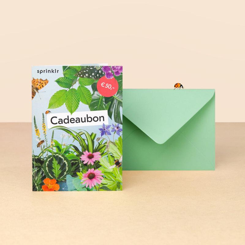 cadeaubon, kaart met collage van bloemen en planten en groene envelop