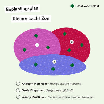 Kleurenpracht Zon Kleurenpracht Zon