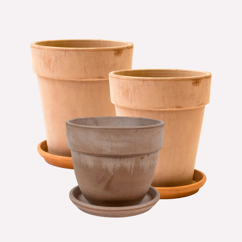 Pottencombinatie voor bij de planten uit pakket Mega Jungle