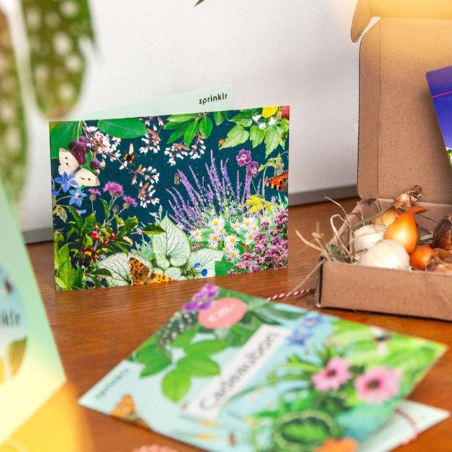 kerst cadeaudoosje sprinklr tussen het groen
