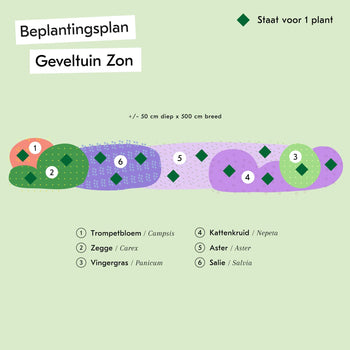 Geveltuin Zon Geveltuin Zon