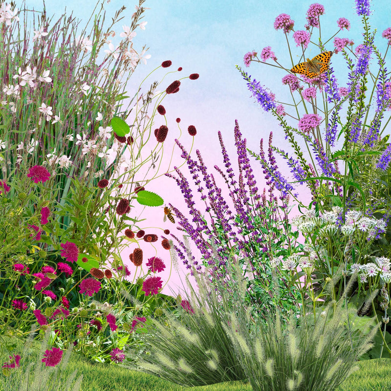 Collage illustratie van een border met verschillende kleuren en soorten paarse bloemen en planten
