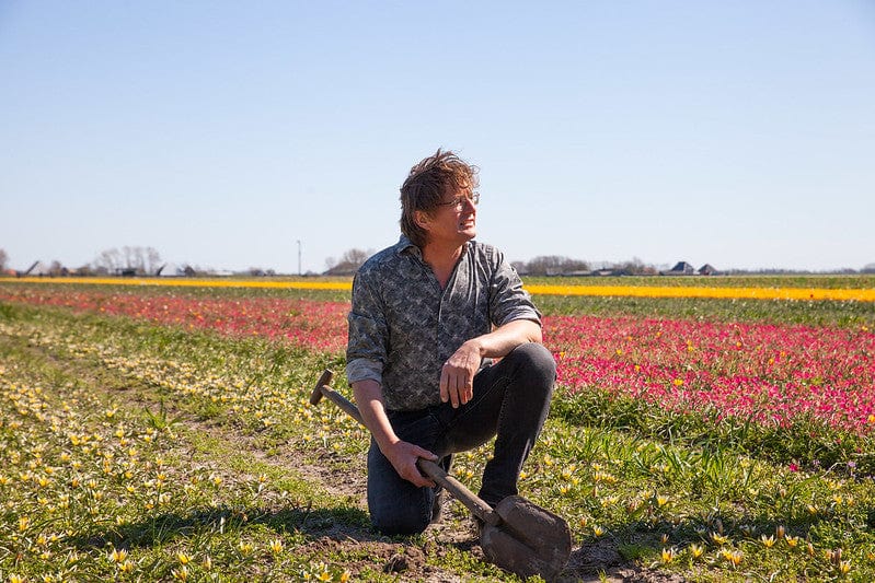 bij op bloem