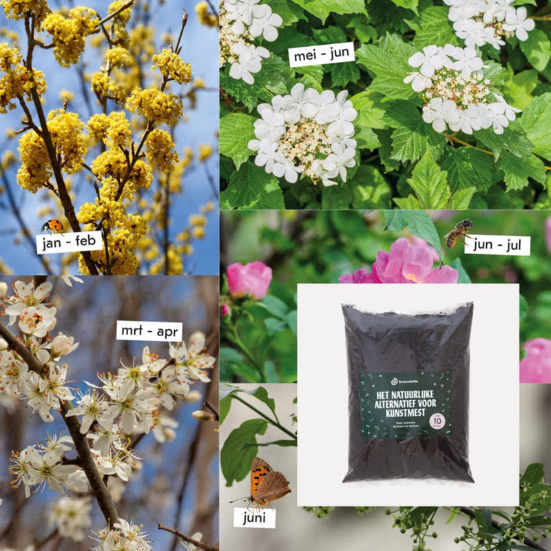 Heestermix Bloeiparadijs