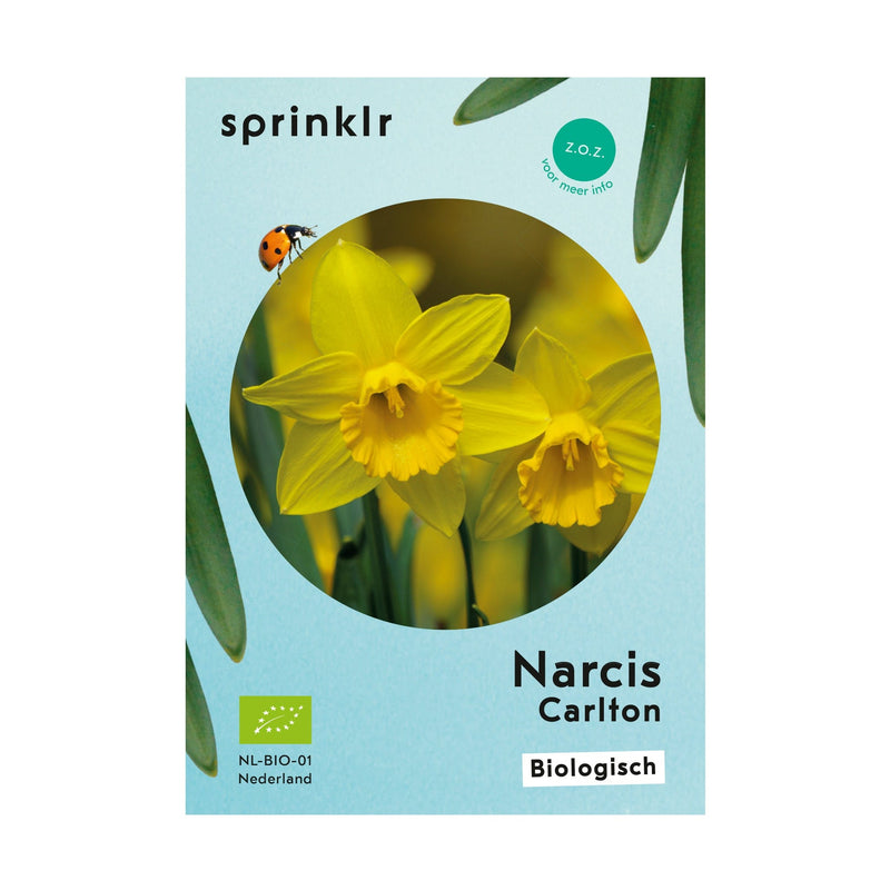 Narcis Carlton