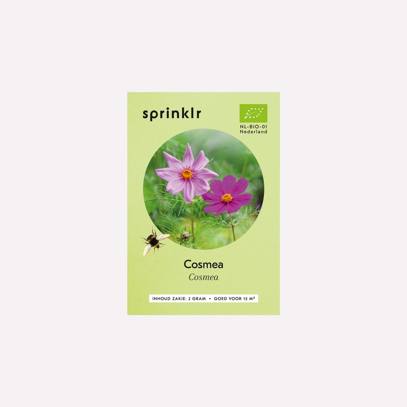 Voorkant zakje biologisch zaad Sprinklr - Cosmea