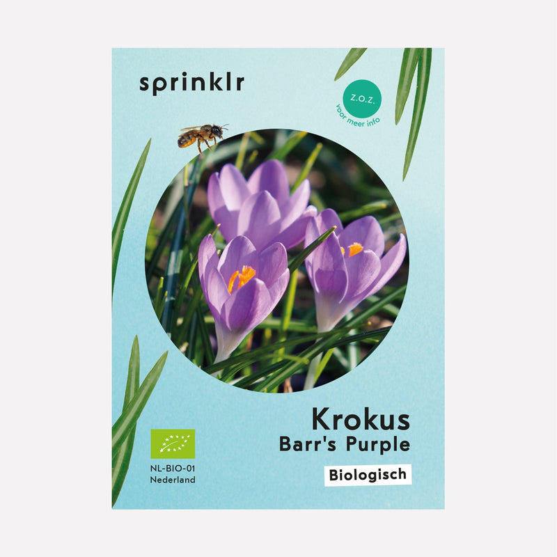 Sprinklr bollenlabel van Krokus Barr's Purple
