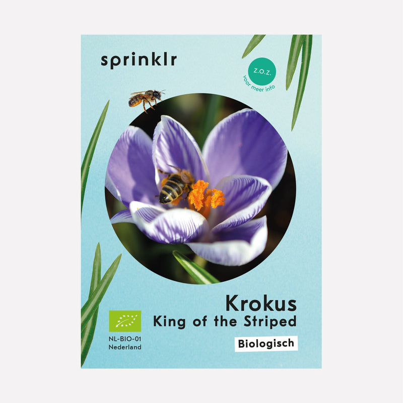 Sprinklr bollenlabel van Krokus King of the Striped