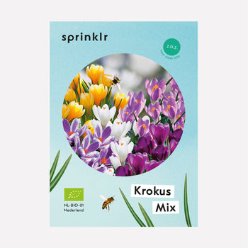 Krokusmix Krokusmix