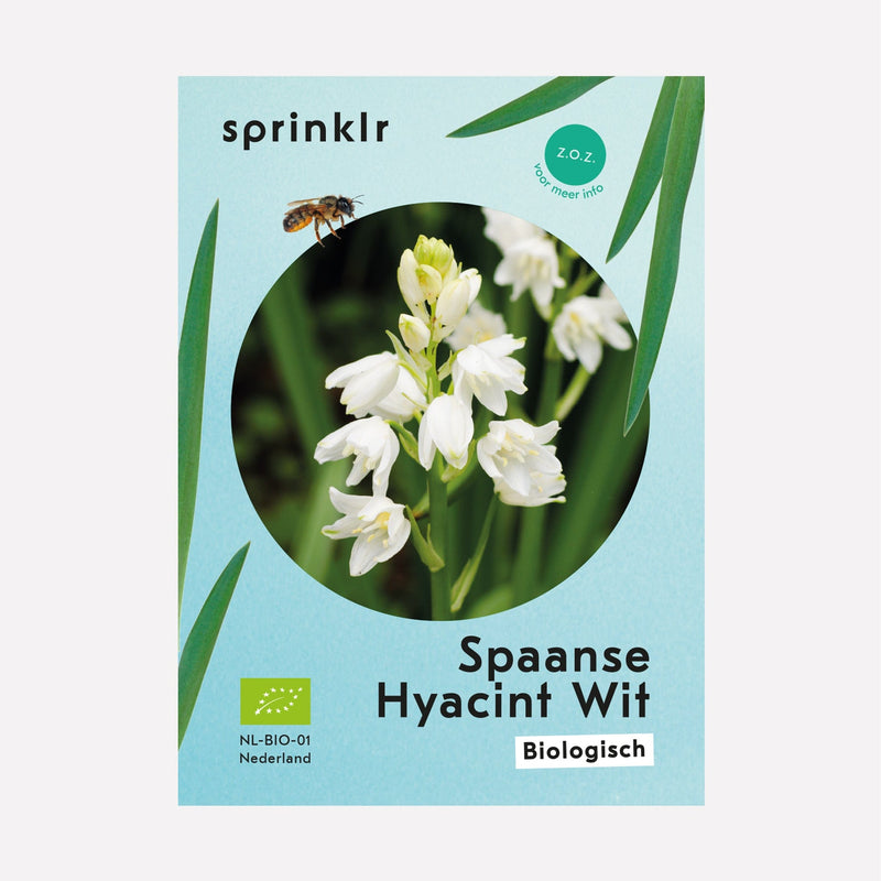 Sprinklr bollenlabel van Spaanse Hyacint wit
