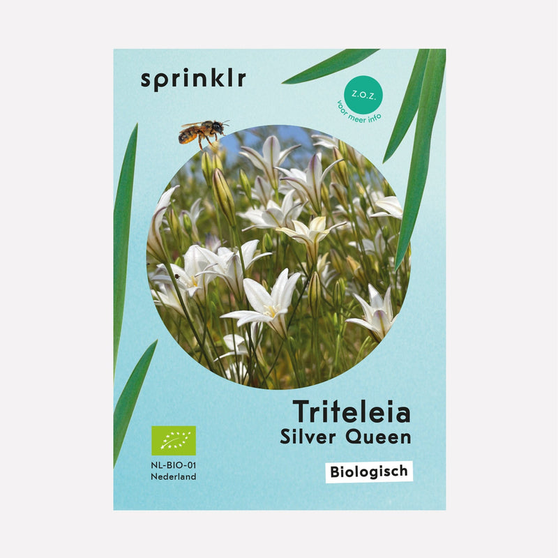 Sprinklr bollenlabel van Triteleia Silver Queen