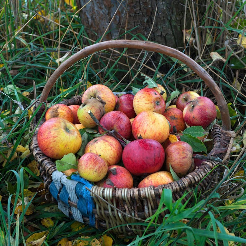 mandje appels