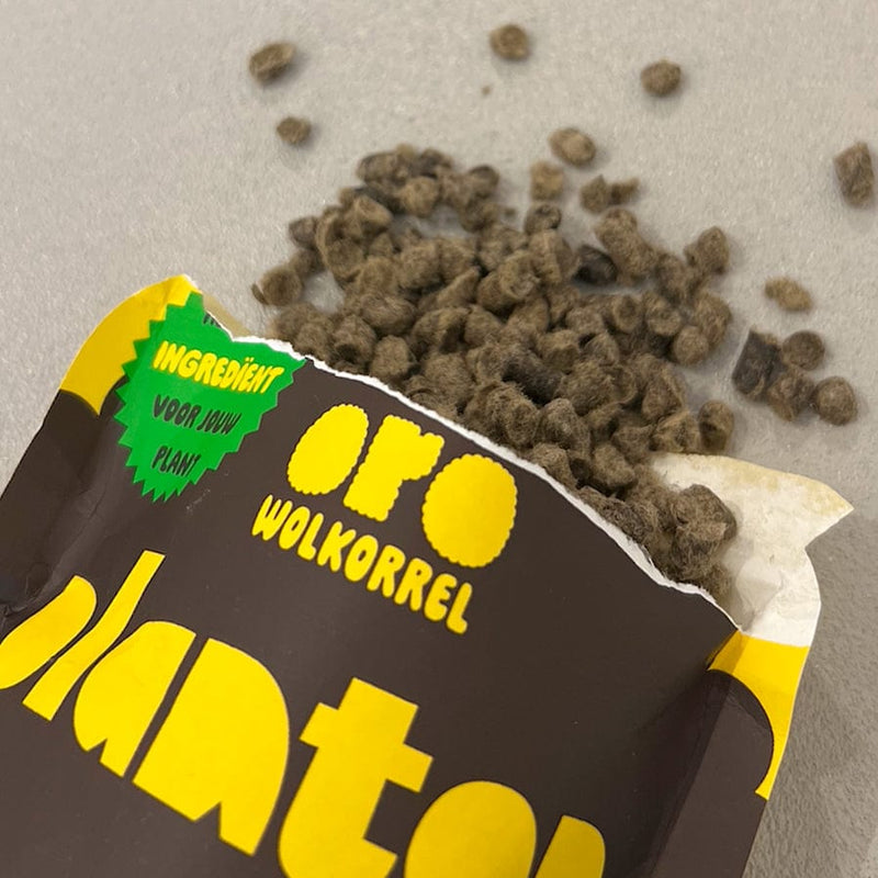Oro Wolkorrels