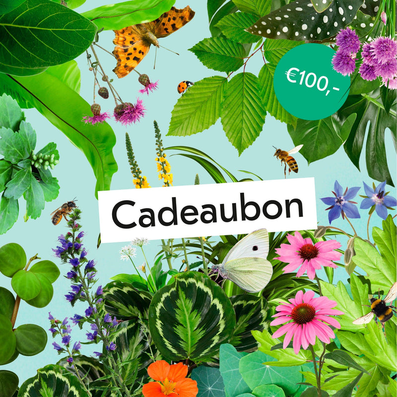 Digitale Cadeaubon