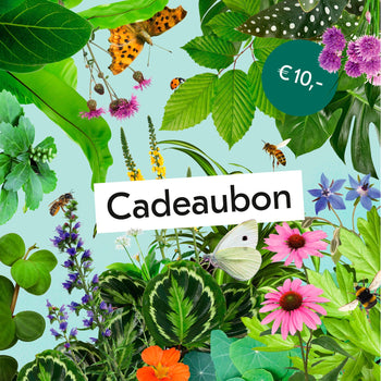Digitale Cadeaubon Digitale Cadeaubon