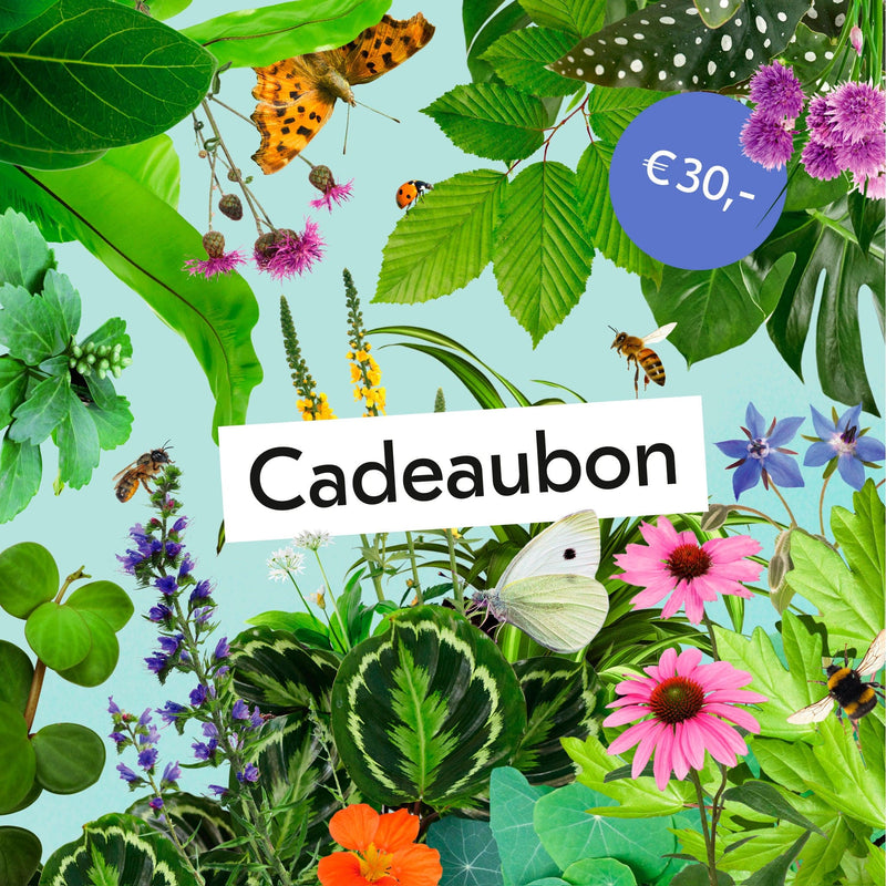 Digitale Cadeaubon