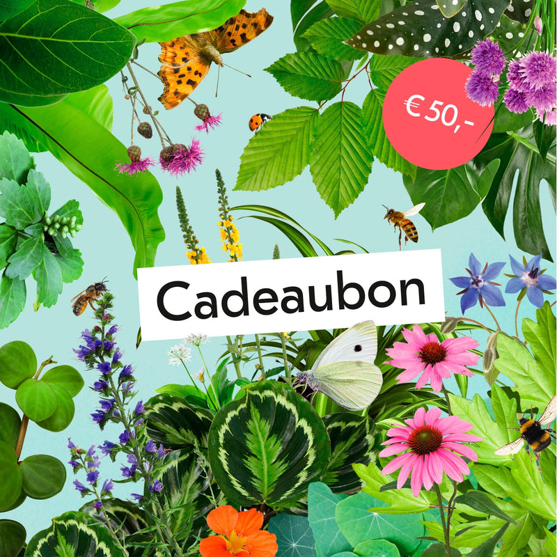 Digitale Cadeaubon