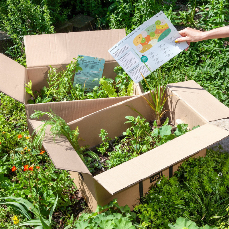borderpakket geel, in dozen met tuinplanten en beplantingsplan