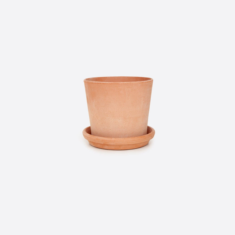 vaso terracotta pot licht