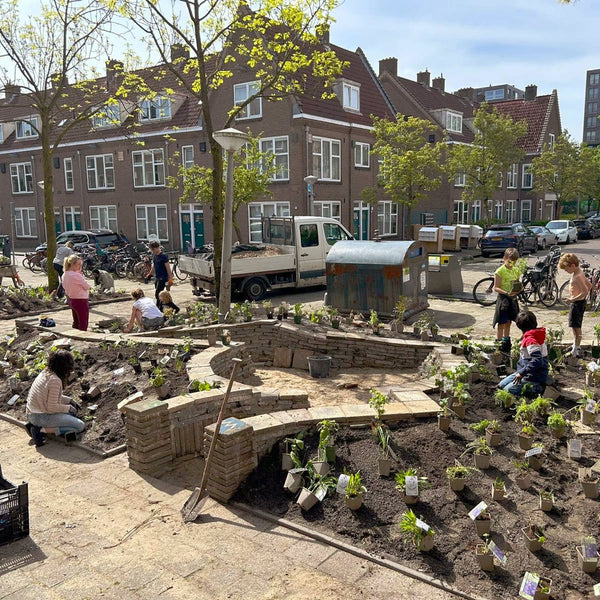 Een plein waarop mensen planten aanleggen in borders