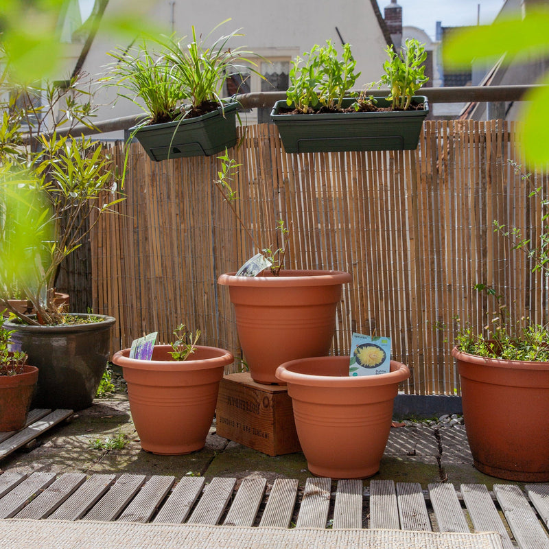 balkontuintje zon, potten met kleine plantjes op dakterras