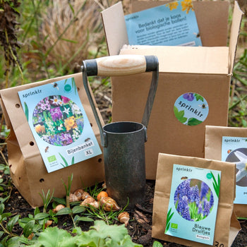 Bollenpoter groot Bollenpoter groot