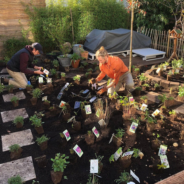 border op maat beplanting