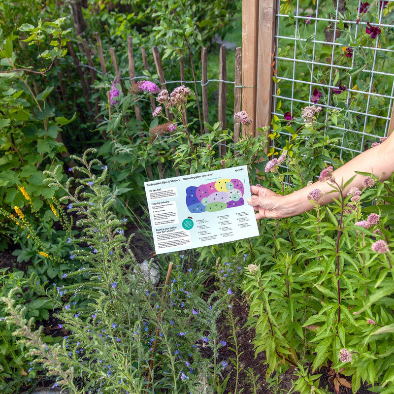 beplantingsplan in hand met planten in bloei op de achtergrond