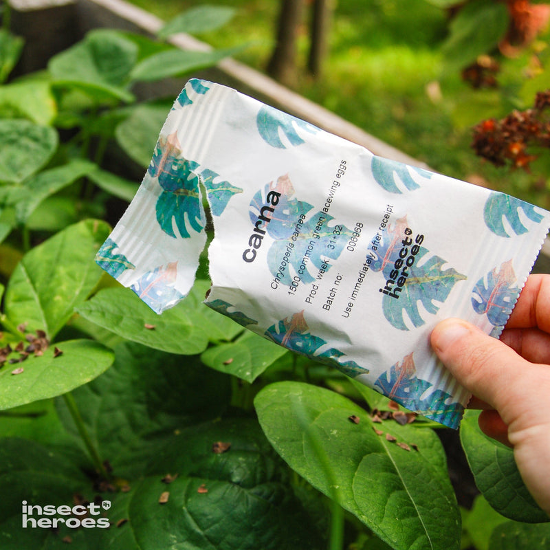 Bestrijding tegen trips