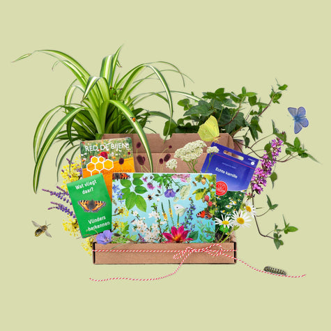Cadeaupakket: Doosje Biodiversiteit met kamerplanten Cadeaupakket: Doosje Biodiversiteit met kamerplanten