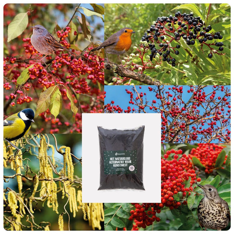 Heestermix Vogelparadijs